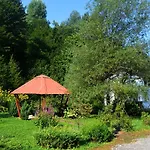 Tanevi