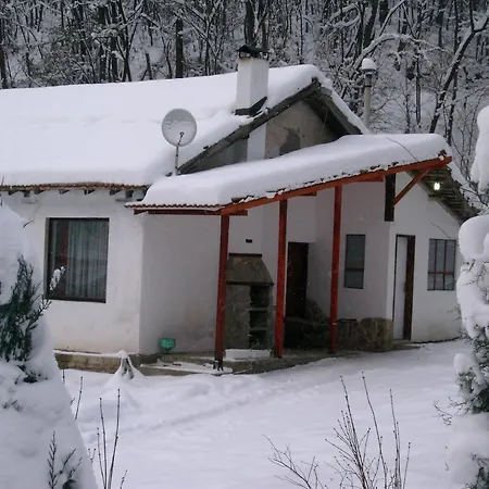 Nyaraló Tanevi