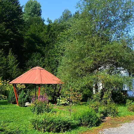 Tanevi