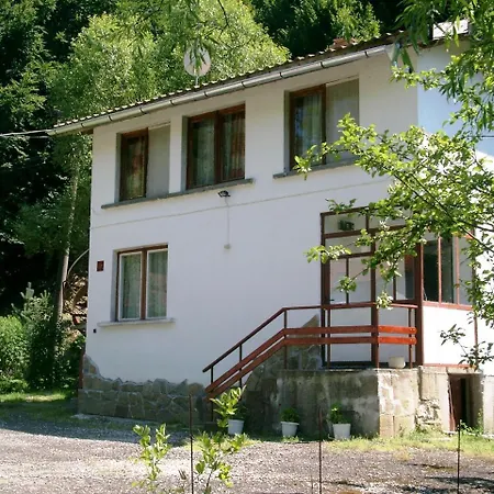 Tanevi