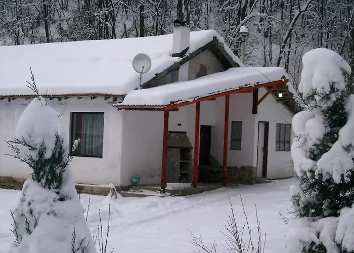 Tatil Evi Tanevi